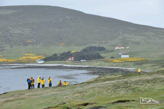 Passageiros do Sea Spirit caminham em Carcass Island, no noroeste das Ilhas Malvinas